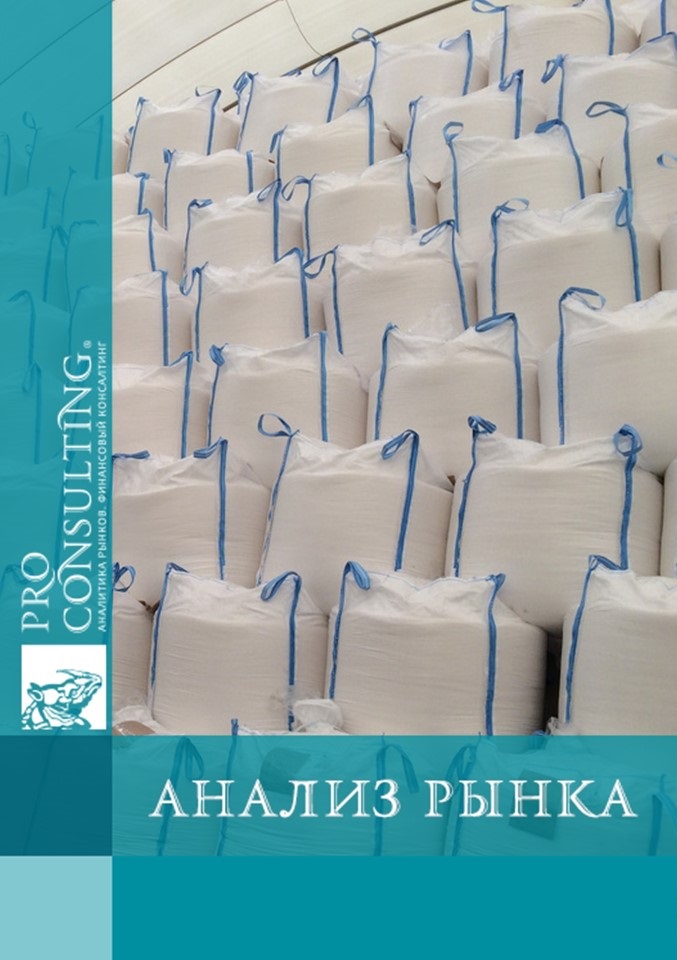 Анализ рынка биг-бэгов России. 2014 год